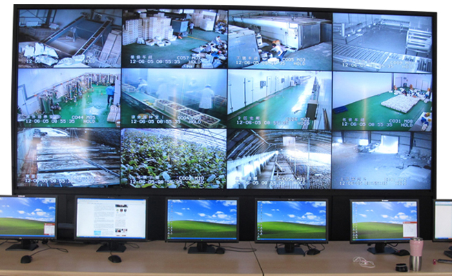 ��Ƶ���ϵͳ